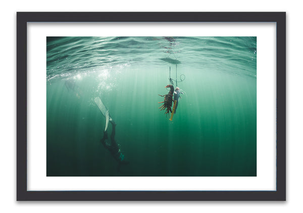 Freediving - photo for sale