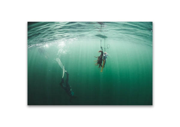 Freediving - photo for sale