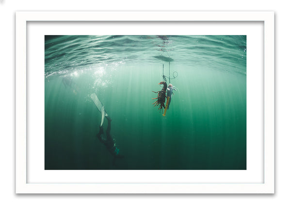 Freediving - photo for sale